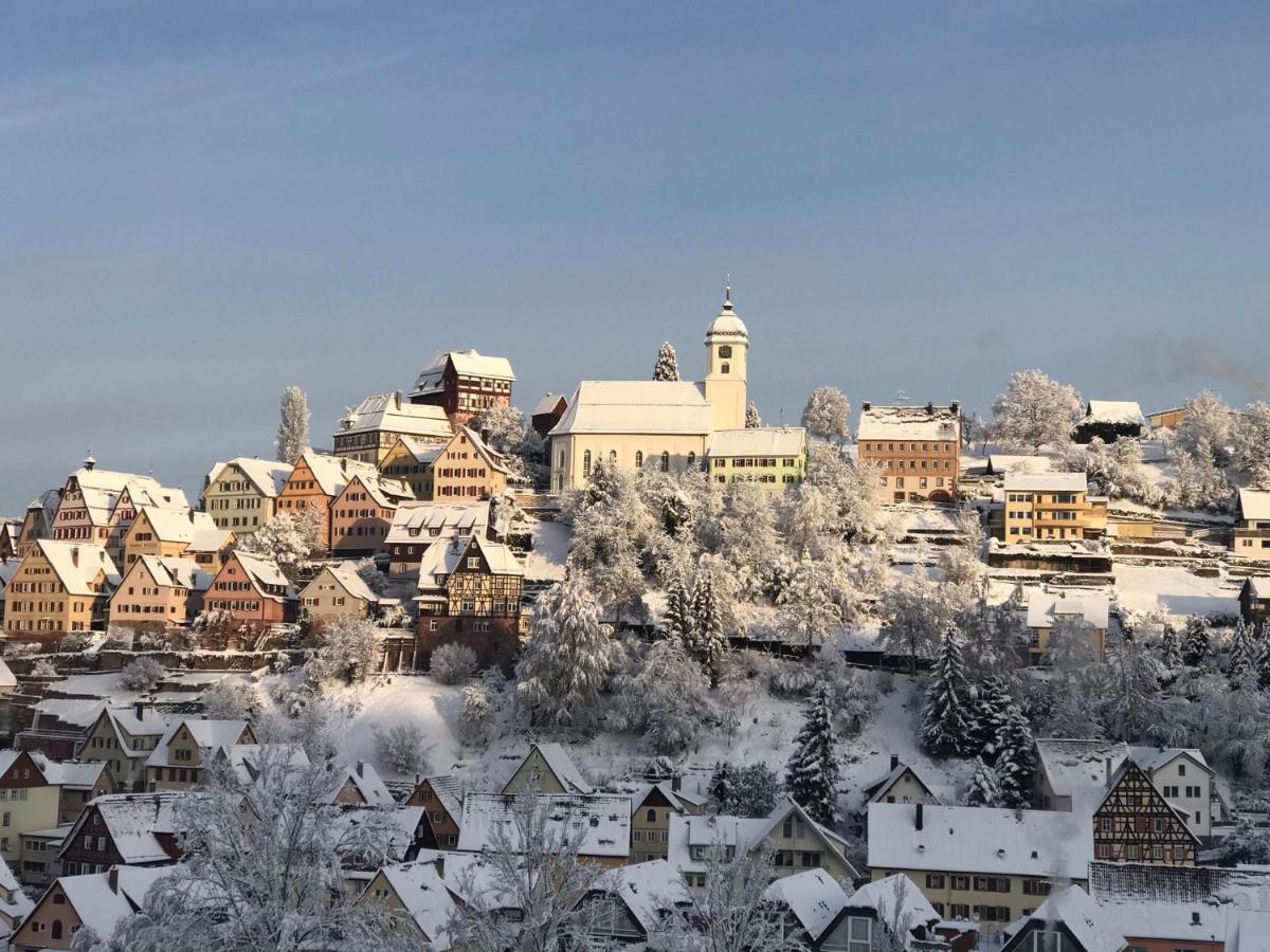 Retro Ferienwohnung Mit Schlossblick Im Nordschwarzwald Altensteig Zewnętrze zdjęcie